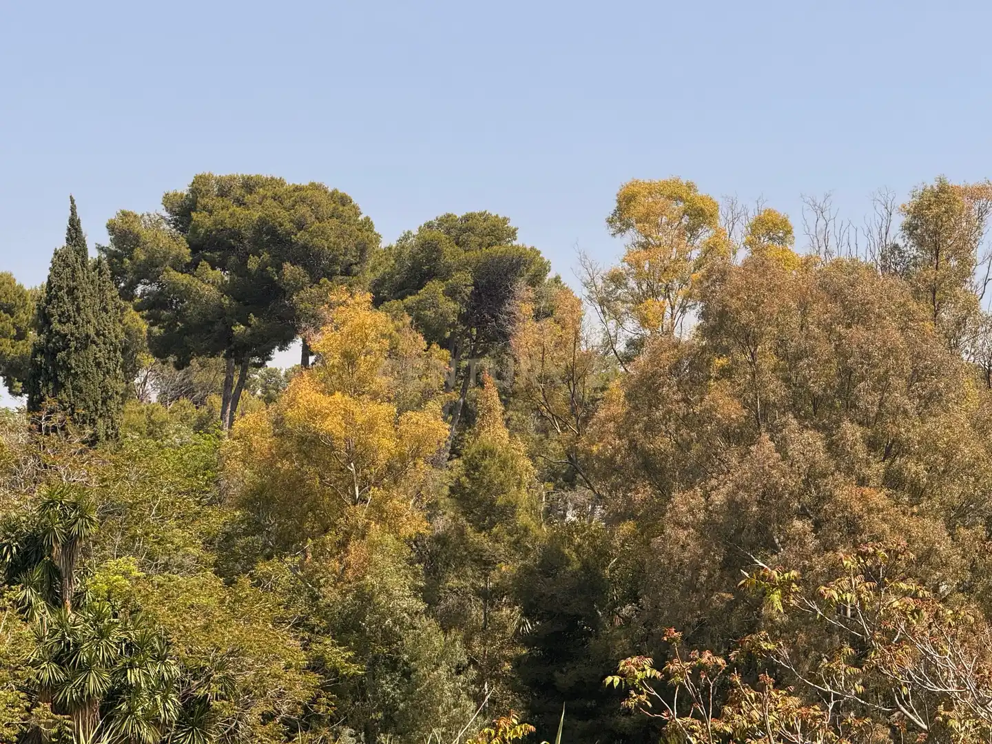 Jardín de Residencial en venta en Churriana