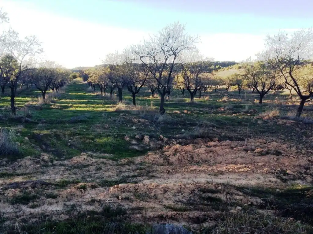 Terreni e lotti in vendita a Valderrobres, imagen 3