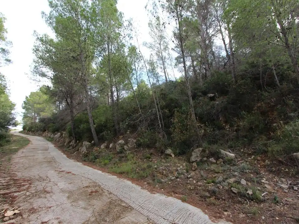 Terreny residencial en venda a Benigembla, imagen 2