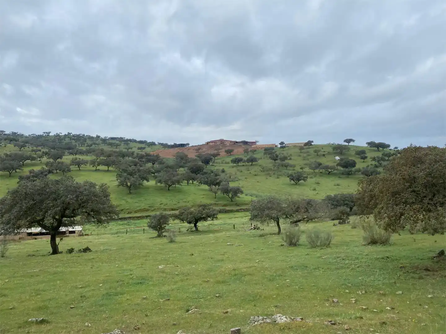 Land for sale in Medina de las Torres