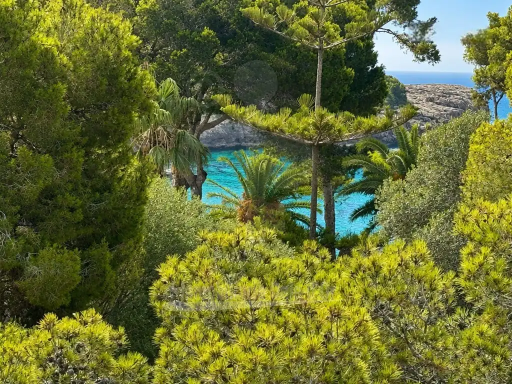 Jardí de Casa o xalet en venda en Santanyí amb Aire condicionat, Jardí privat i Piscina