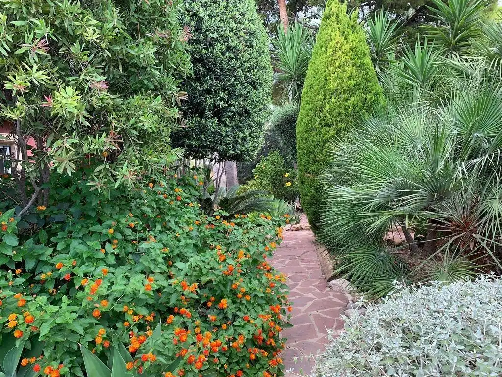 Detached house with terrace for sale in GUATLA LA-G.PALMERAS, imagen 14