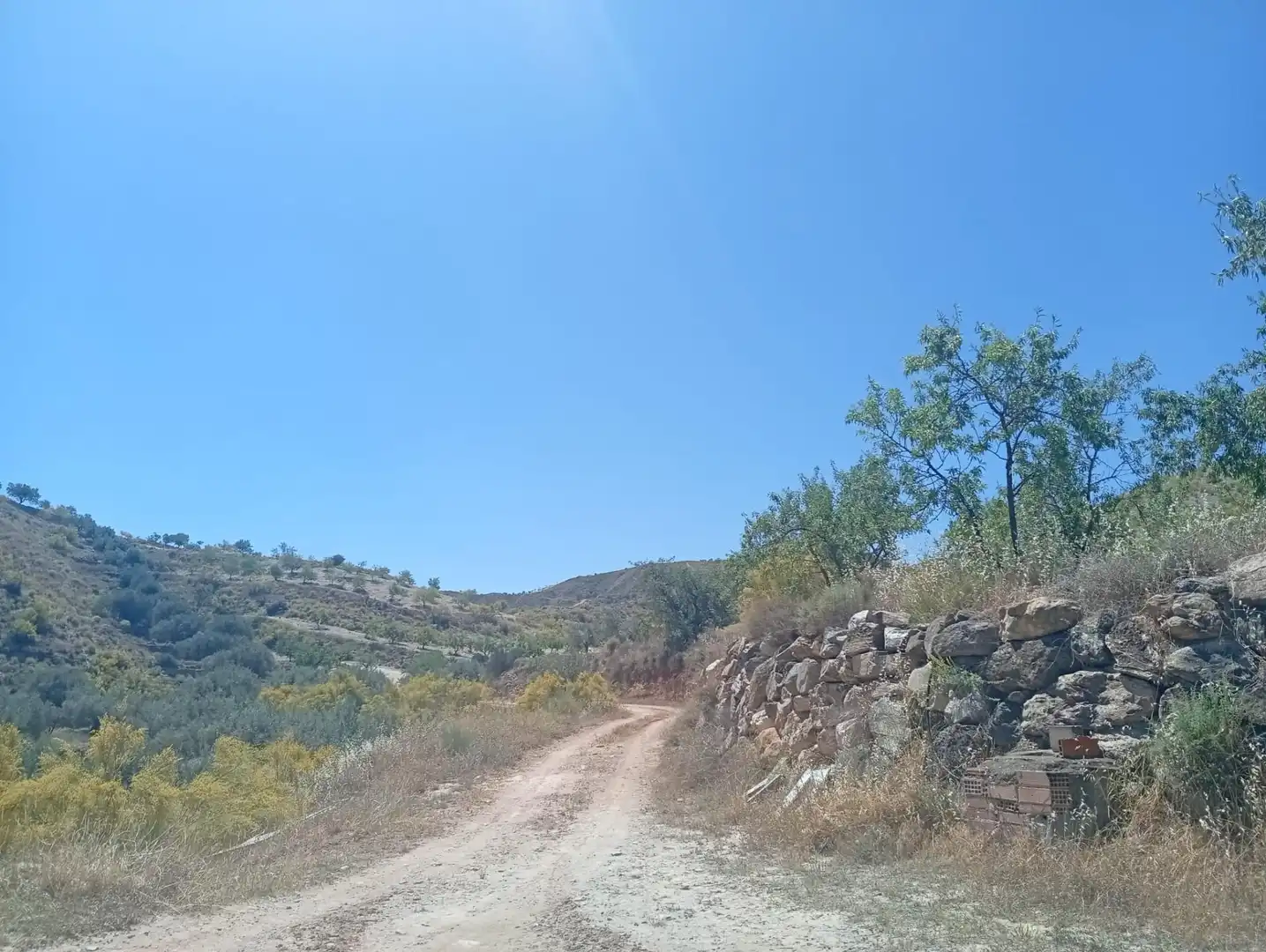 Rural land for sale in Lubrín, imagen 2