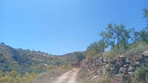 VENTA DE TERRENO RÚSTICO EN CANTORIA ALMERÍA, immagine 2