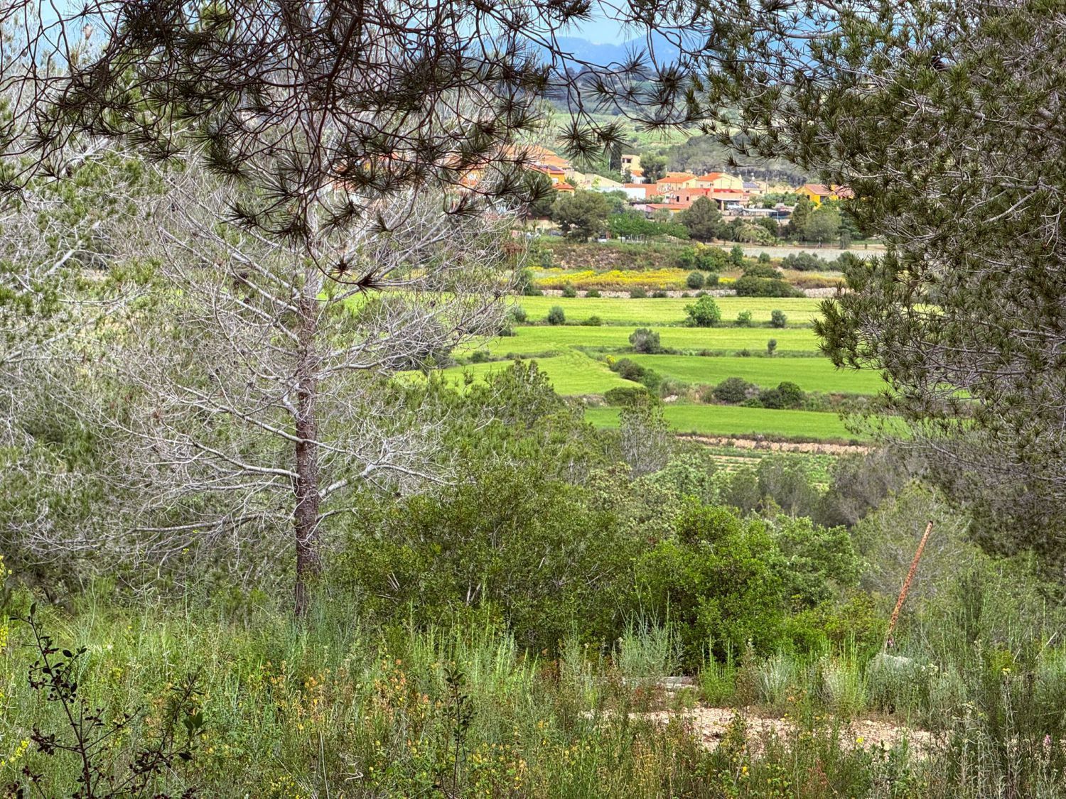 Finca rústica en venta en Renau