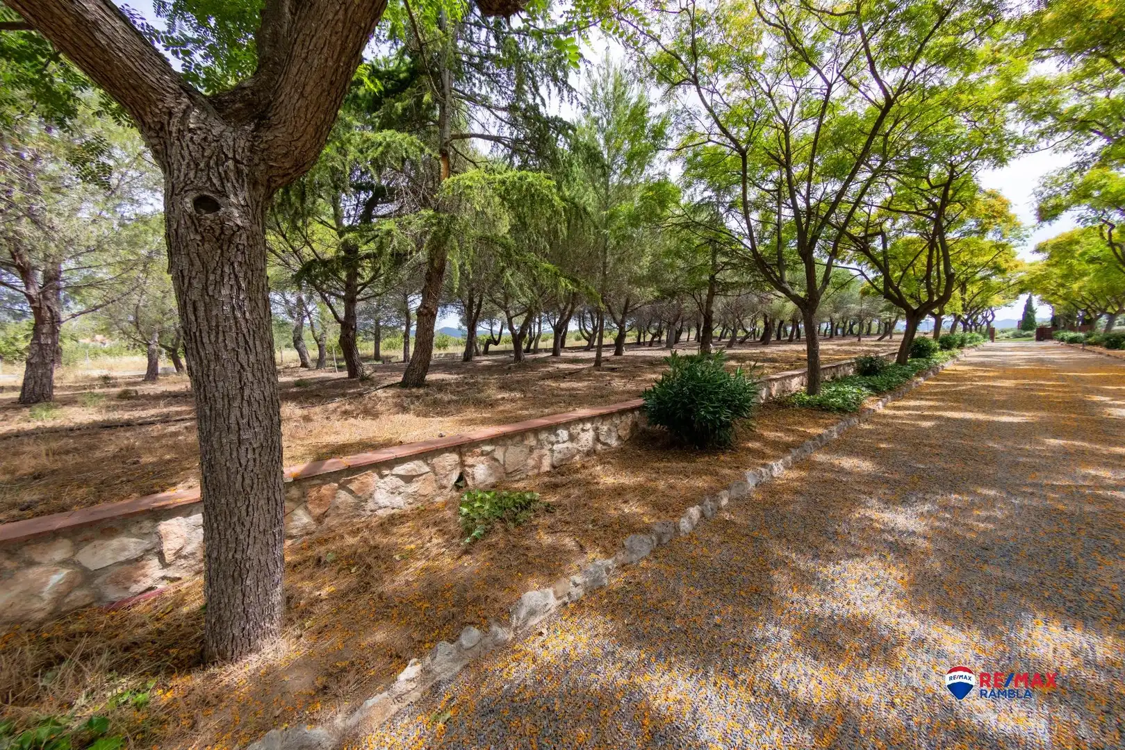 Houses for sale in Valls