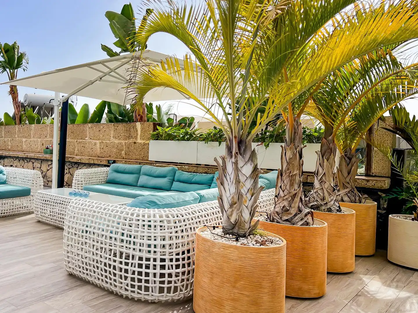 Terrassa de Casa o xalet en venda en Adeje amb Aire condicionat, Jardí privat i Terrassa