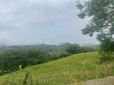 Lands and plots for sale in PIÑOLETA, PG. 137