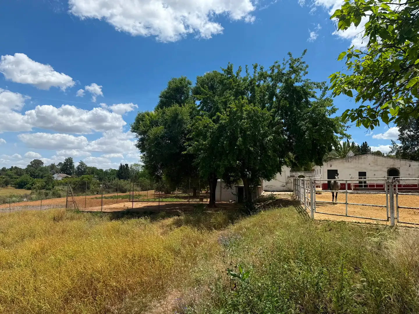 Chalet con piscina en venta en Carretera Olivares, imagen 34