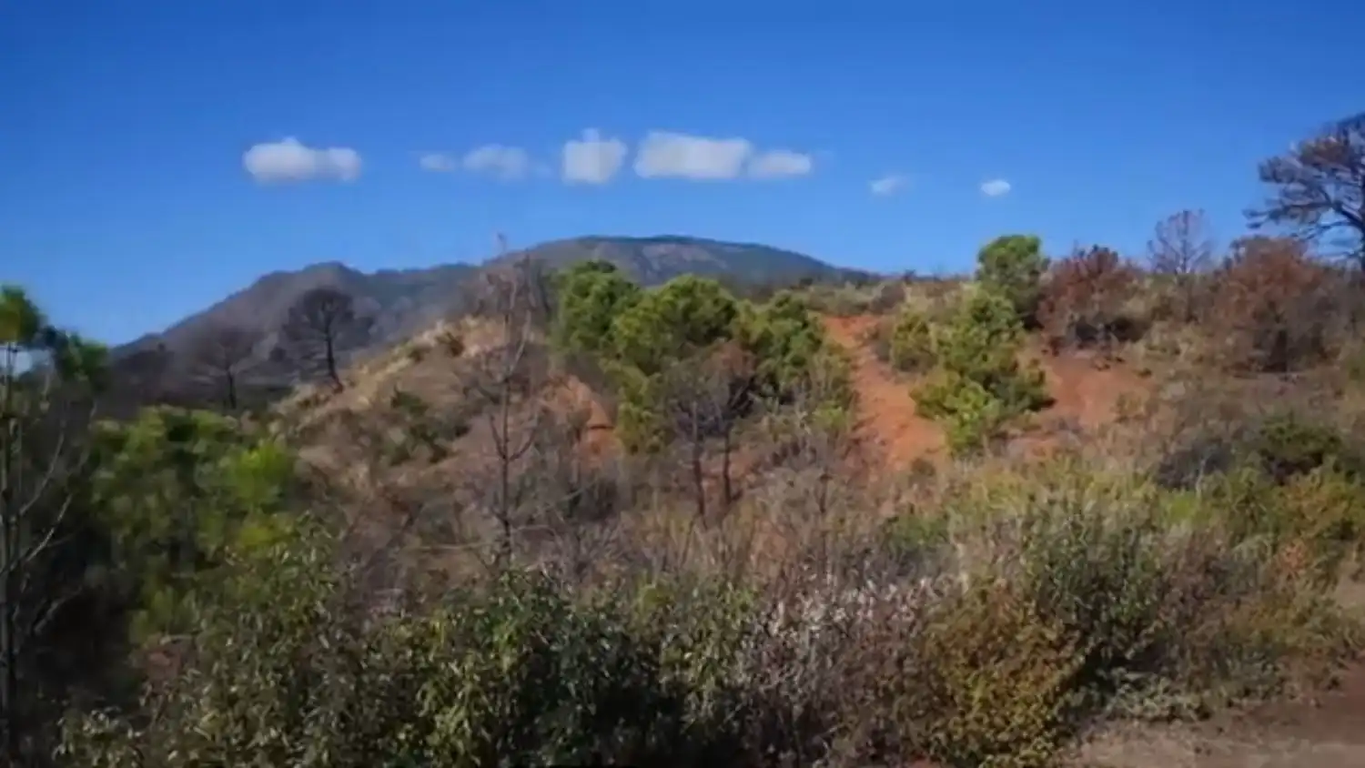 Terreni e lotti in vendita a Altos de Estepona