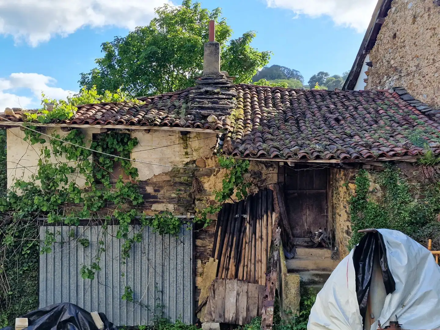 Vista exterior de Finca rústica en venta en Tineo con Balcón y Piscina comunitaria