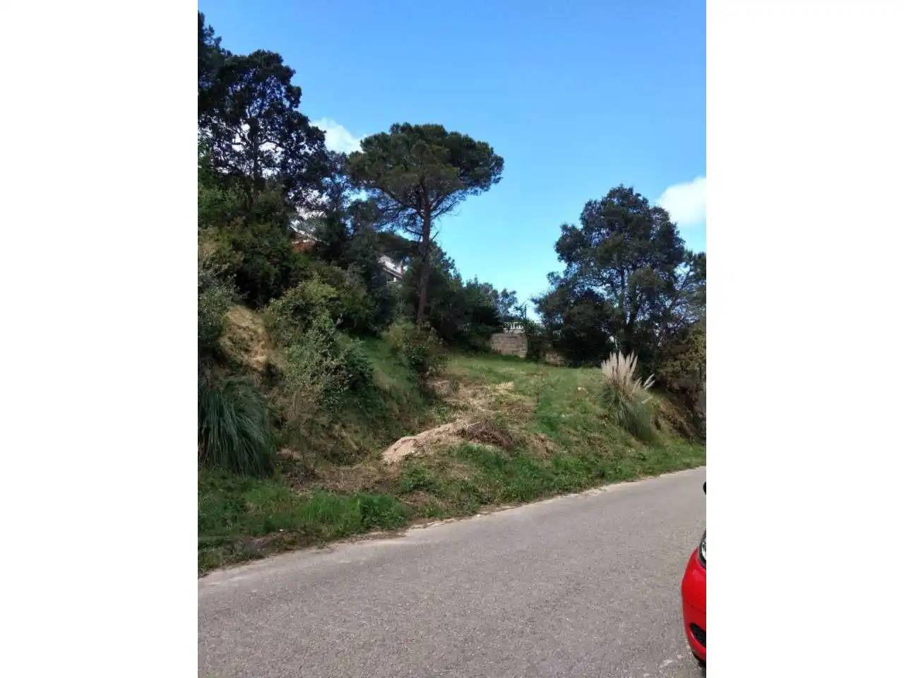 Terreno rústico en venta en Avenida Mil·lenni 22, imagen 9