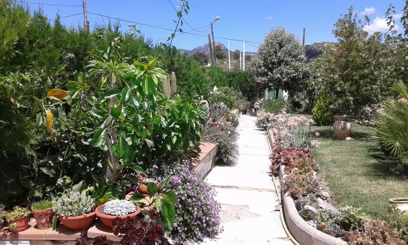 Villa avec terrasse à vendre à Calles, imagen 6