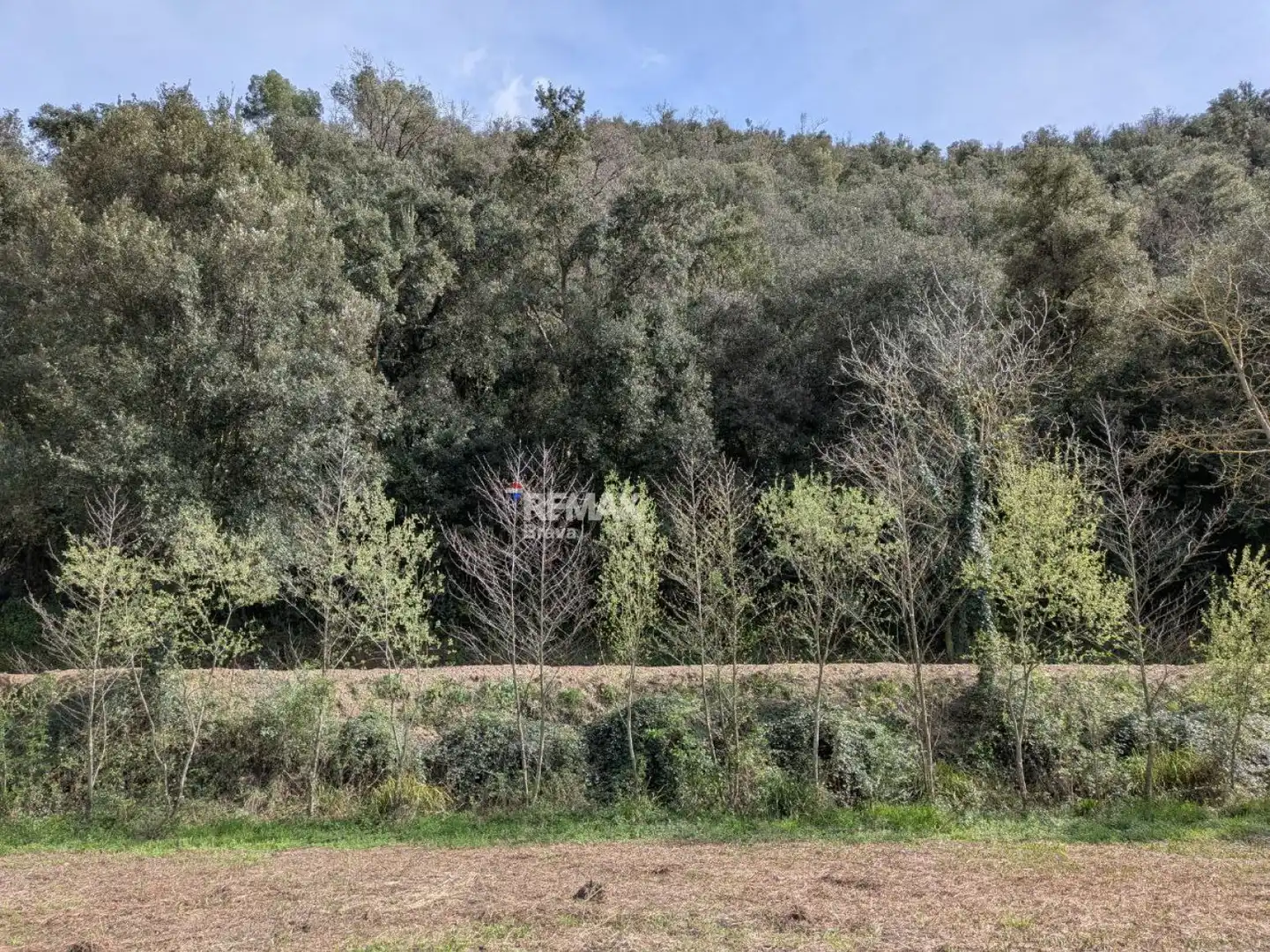 Residential for sale in Sant Julià del Llor i Bonmatí