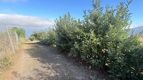Foto 5 de Finca rústica en venda a Camino el Cascajo, 1, La Perdoma - San Antonio - Benijos, La Orotava