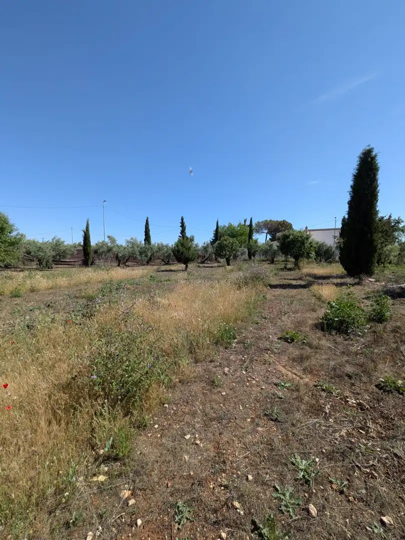 Residencial en venta en Ciudad Real