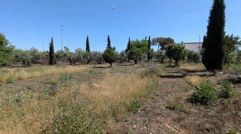 Foto 4 de Residencial en venta en La Poblachuela, La Poblachuela, Ciudad Real Capital