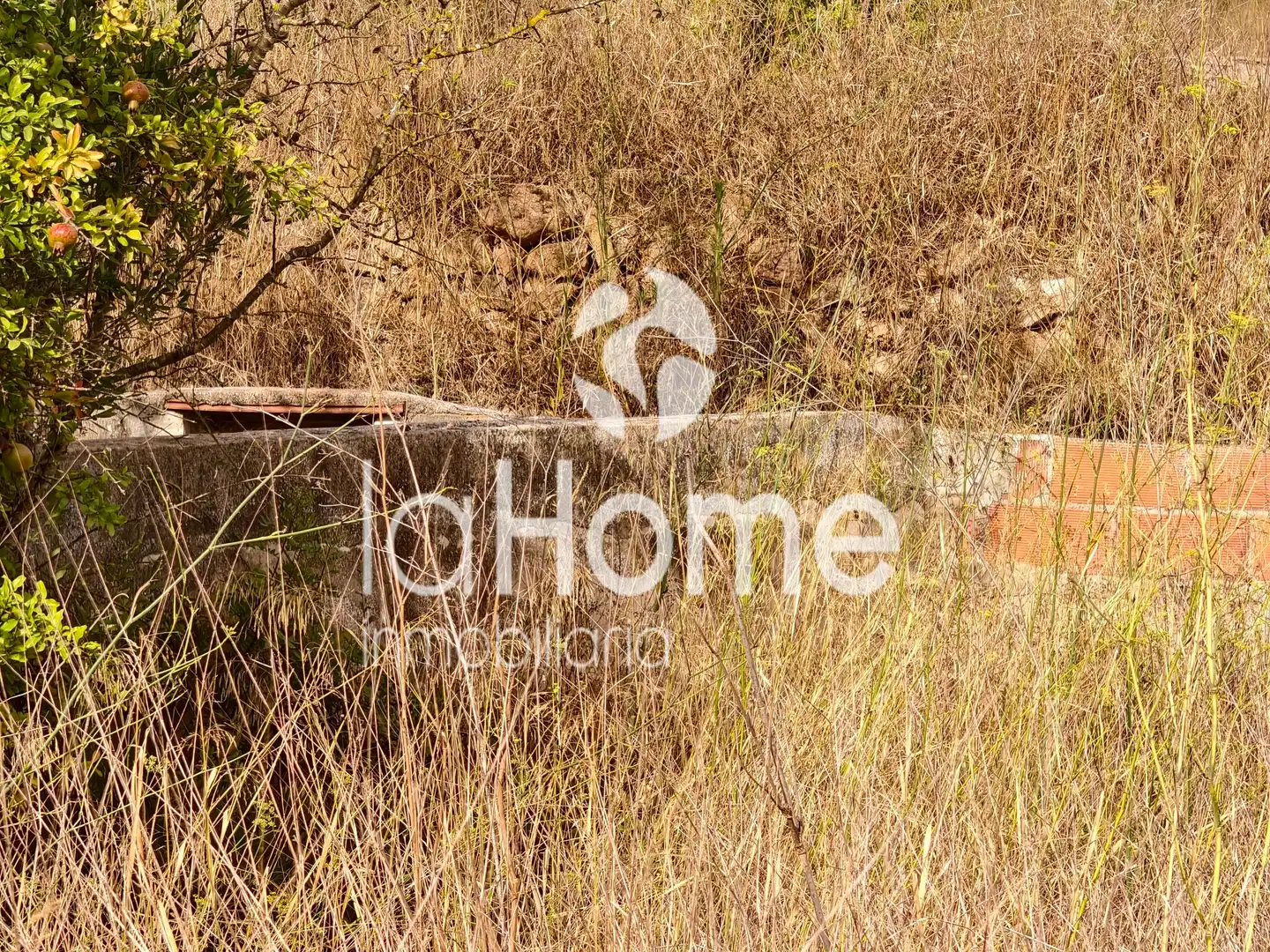 Terreno rústico en venta en CV-3710 164, imagen 4