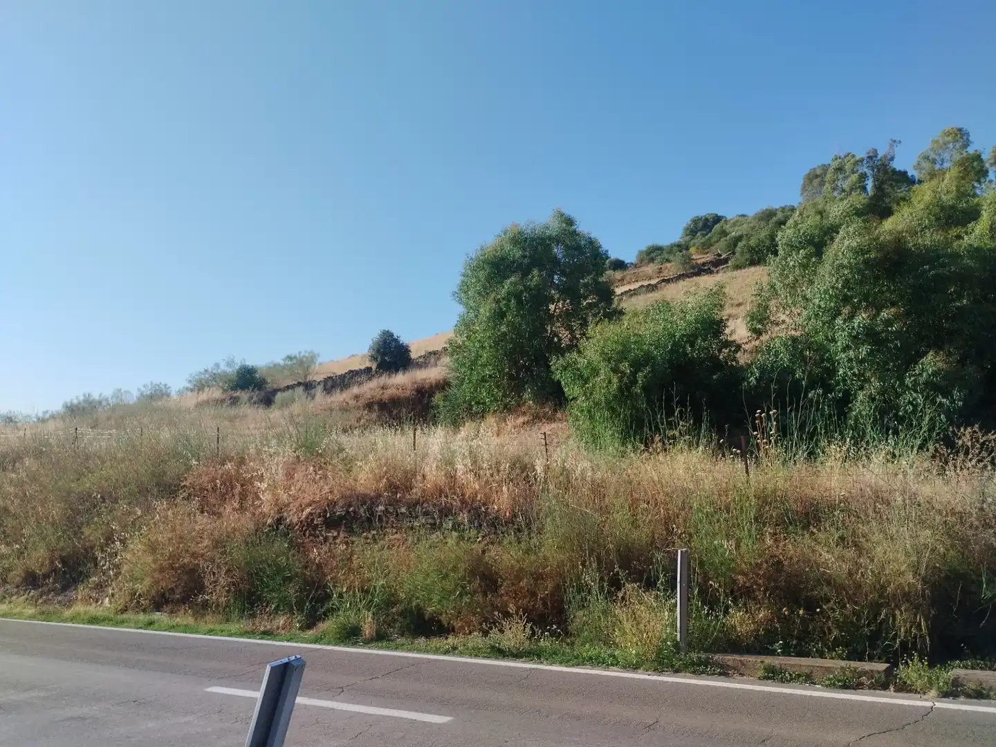Terreni e lotti in vendita a Jerez de los Caballeros, imagen 10