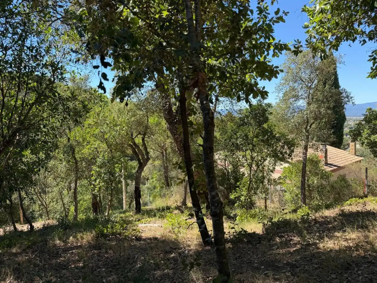 Wohnbaugrundstück zum Verkauf in Calle Sant Nicolàs, imagen 4