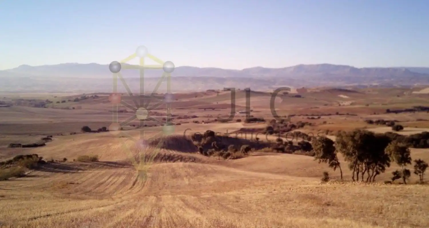 Terreno residenziale in vendita a el Pino, imagen 12