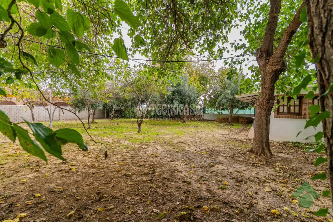 Business premises for sale in El Rocío - La Milagrosa, imagen 5