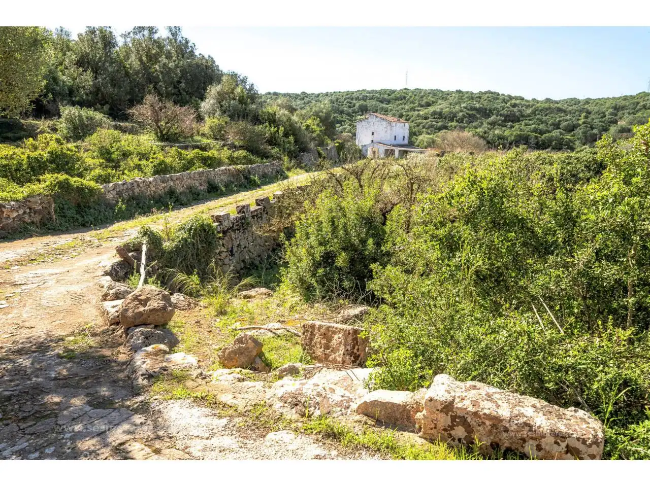 Terreno rustico in vendita a Alaior poble, imagen 26