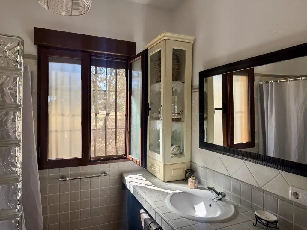 Bathroom of Country homes for sale in Zarza-Capilla, Badajoz