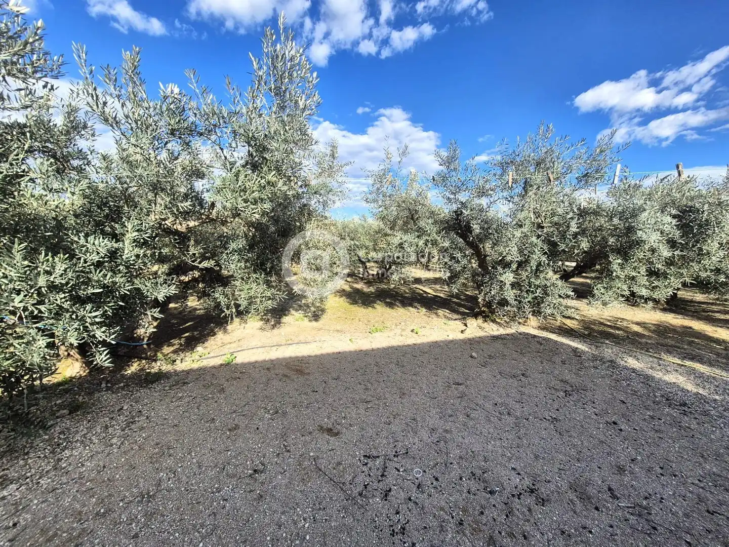 Finca rústica en venta en Lorca con Jardín privado
