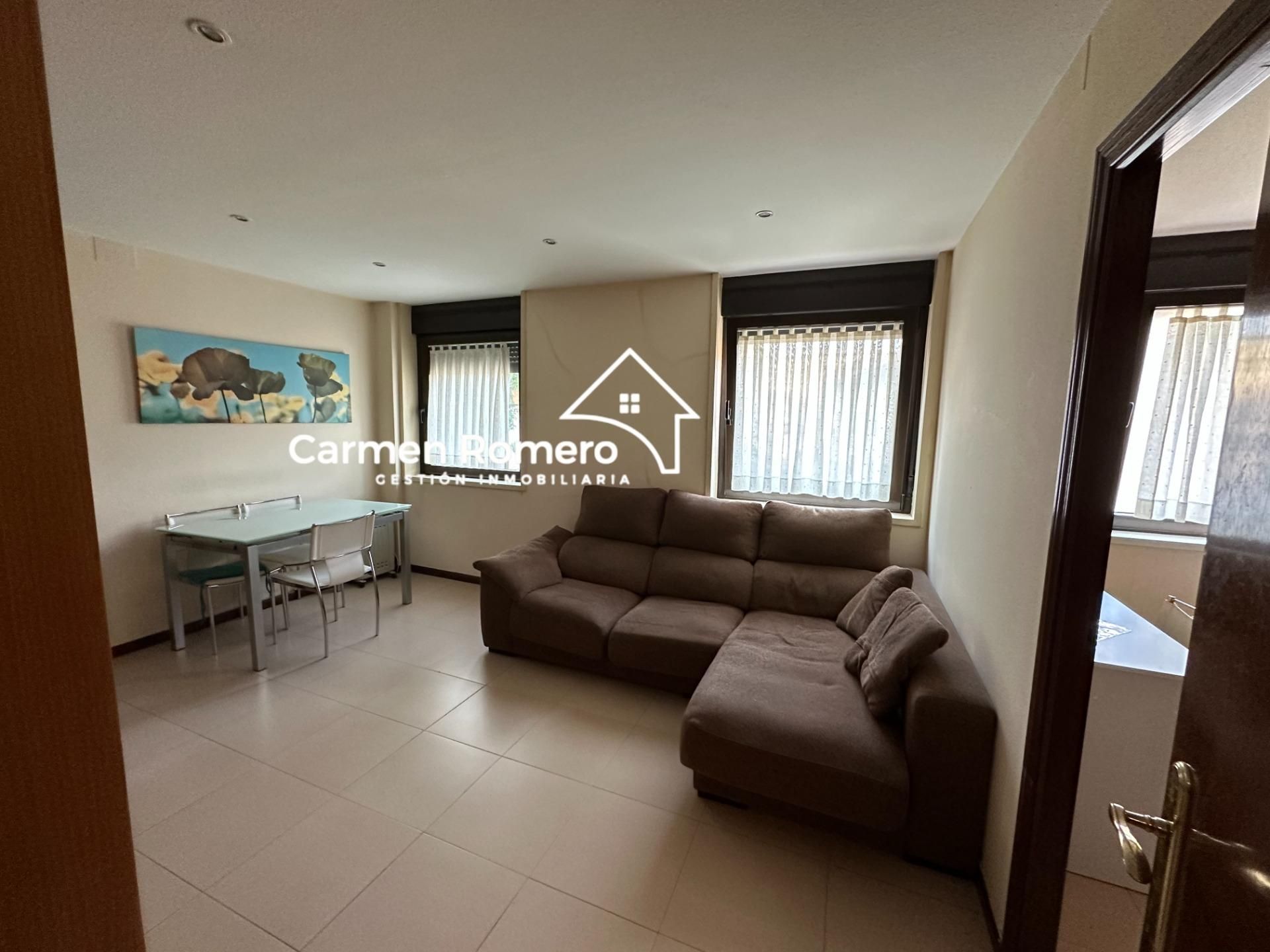 Sala de estar de Apartamento de alquiler en Salamanca Capital con Calefacción