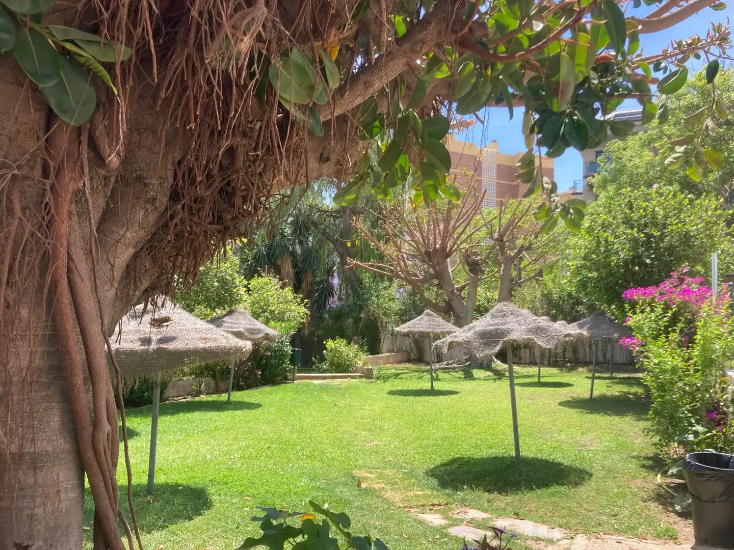 Appartement avec piscine à vendre à Calle Luis Vives, imagen 4