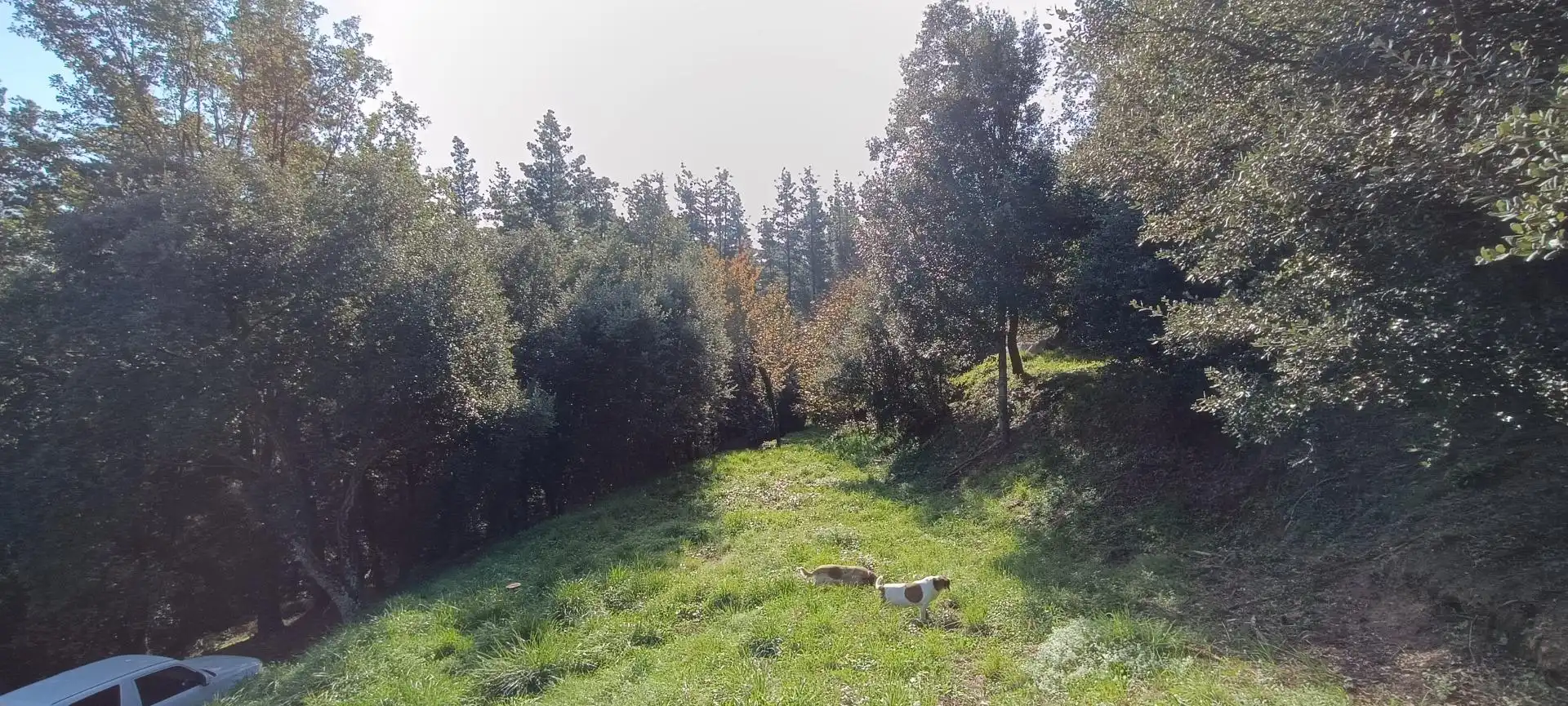 Casa rústica amb jardí en venda a Riells i Viabrea, imagen 33
