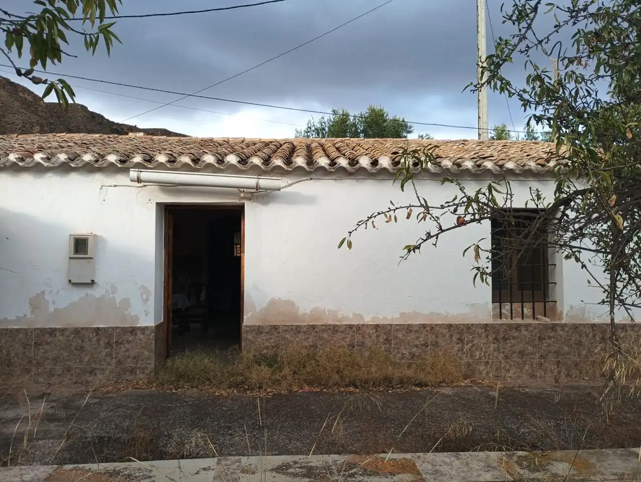 Vista exterior de Finca rústica en venda en Bédar amb Jardí privat i Terrassa