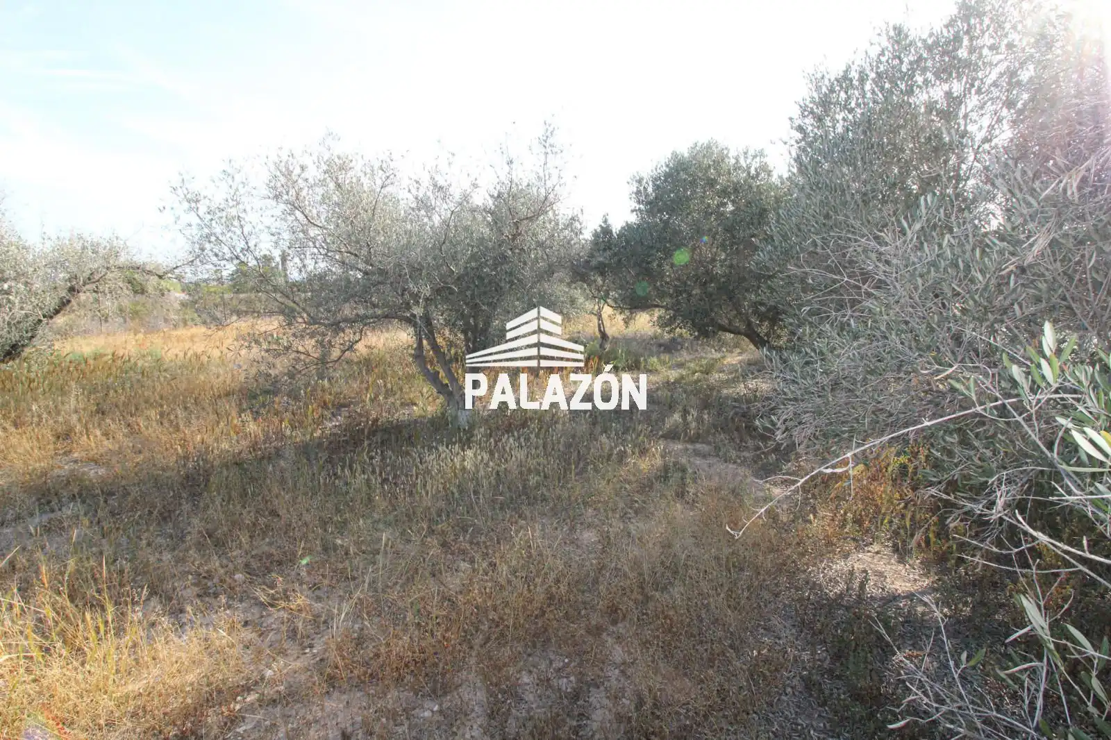 Finca rústica en venta en Crevillent