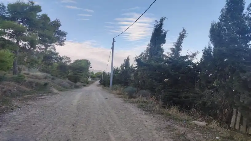 Terrenys i solars en venda a Pedanías Este, imagen 16