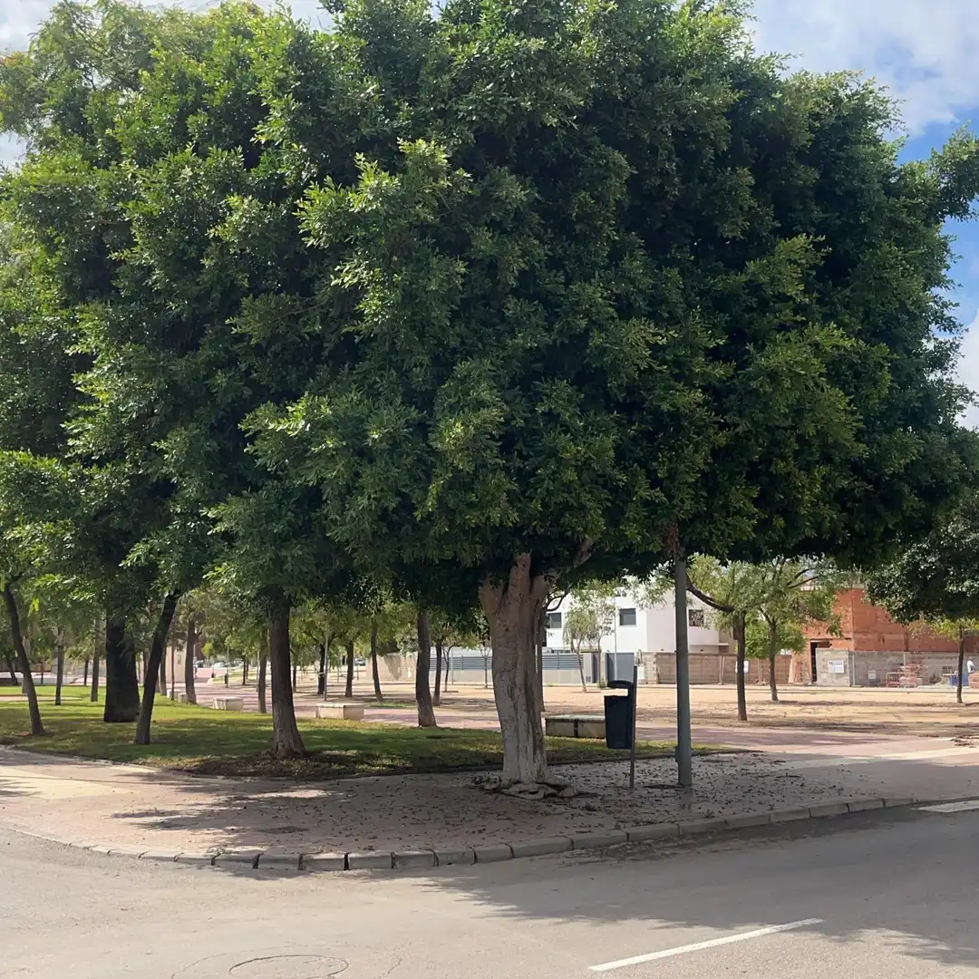 Terreny residencial en venda a Norte, imagen 23