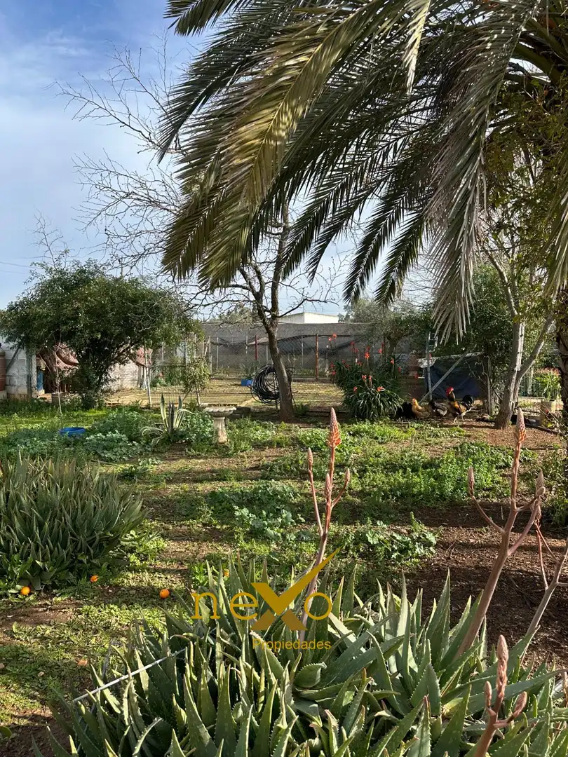 Chalet con piscina en venta en Carmona, imagen 7