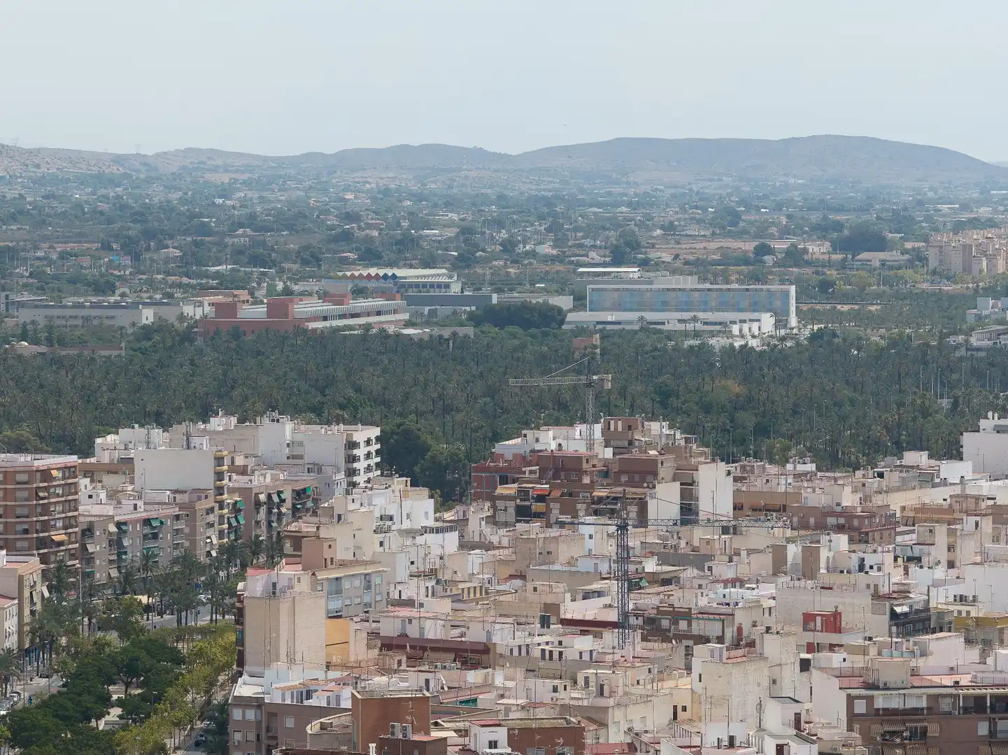 Vista exterior de Pis en venda en Elche / Elx amb Balcó