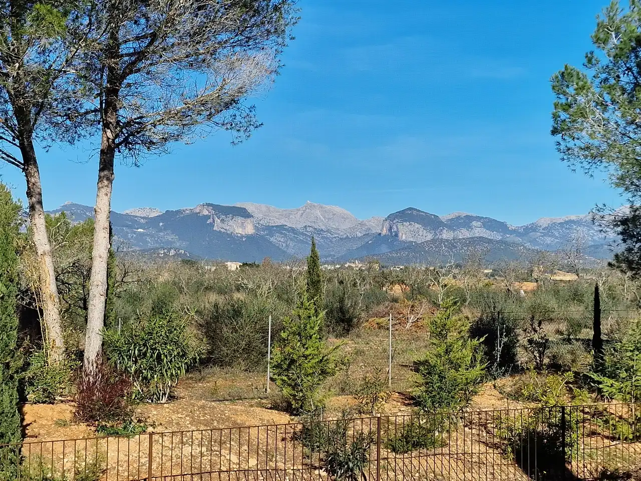 Landhaus mit Pool zum Verkauf in Santa María del Camí, imagen 17