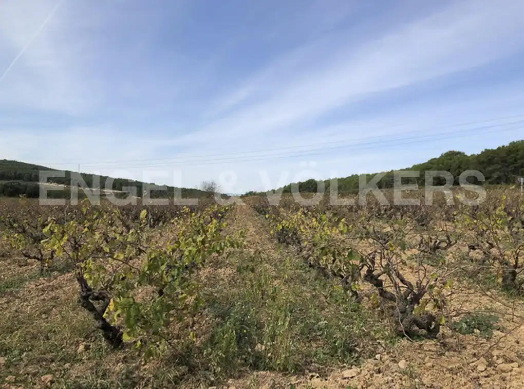 Terreny residencial en venda a Avinyonet del Penedès, imagen 36