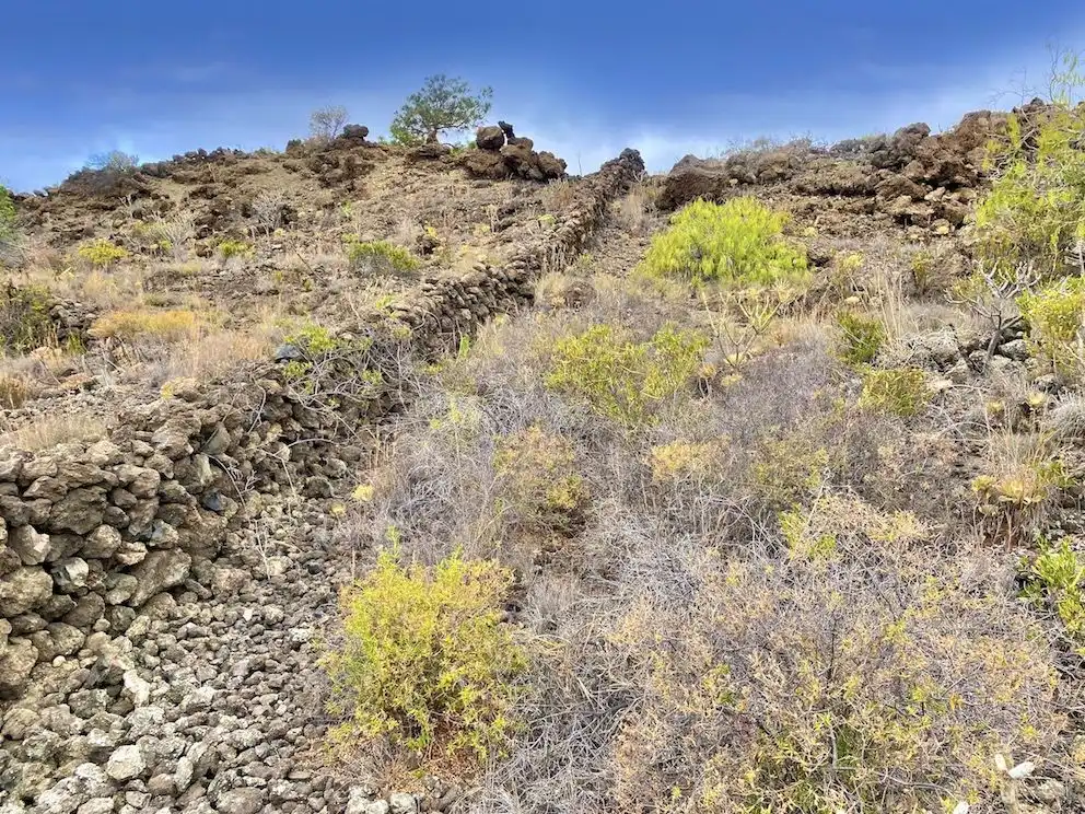 Lands and plots for sale in Chío, imagen 4