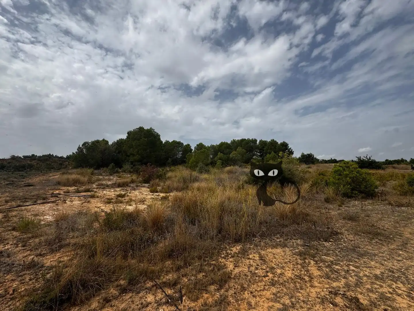 Rural land for sale in Calicanto - Cumbres de Calicanto - Santo Domingo, imagen 10
