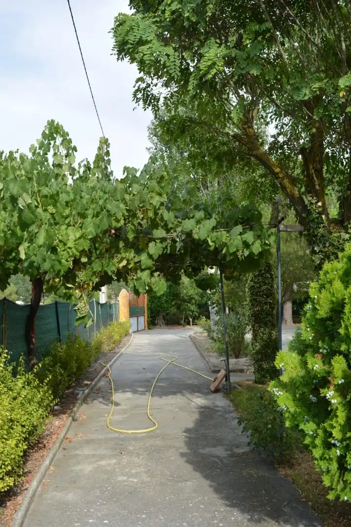 Jardín de Casa o chalet en venta en Santibáñez de Valcorba con Calefacción, Jardín privado y Terraza