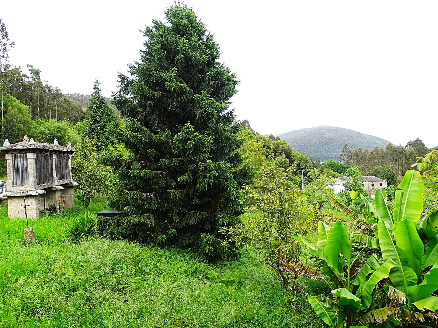 Jardí de Finca rústica en venda en Ourol amb Calefacció, Jardí privat i Parquet