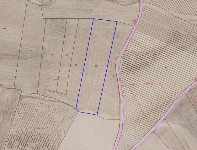 Terreno en Venta en Ribafrecha