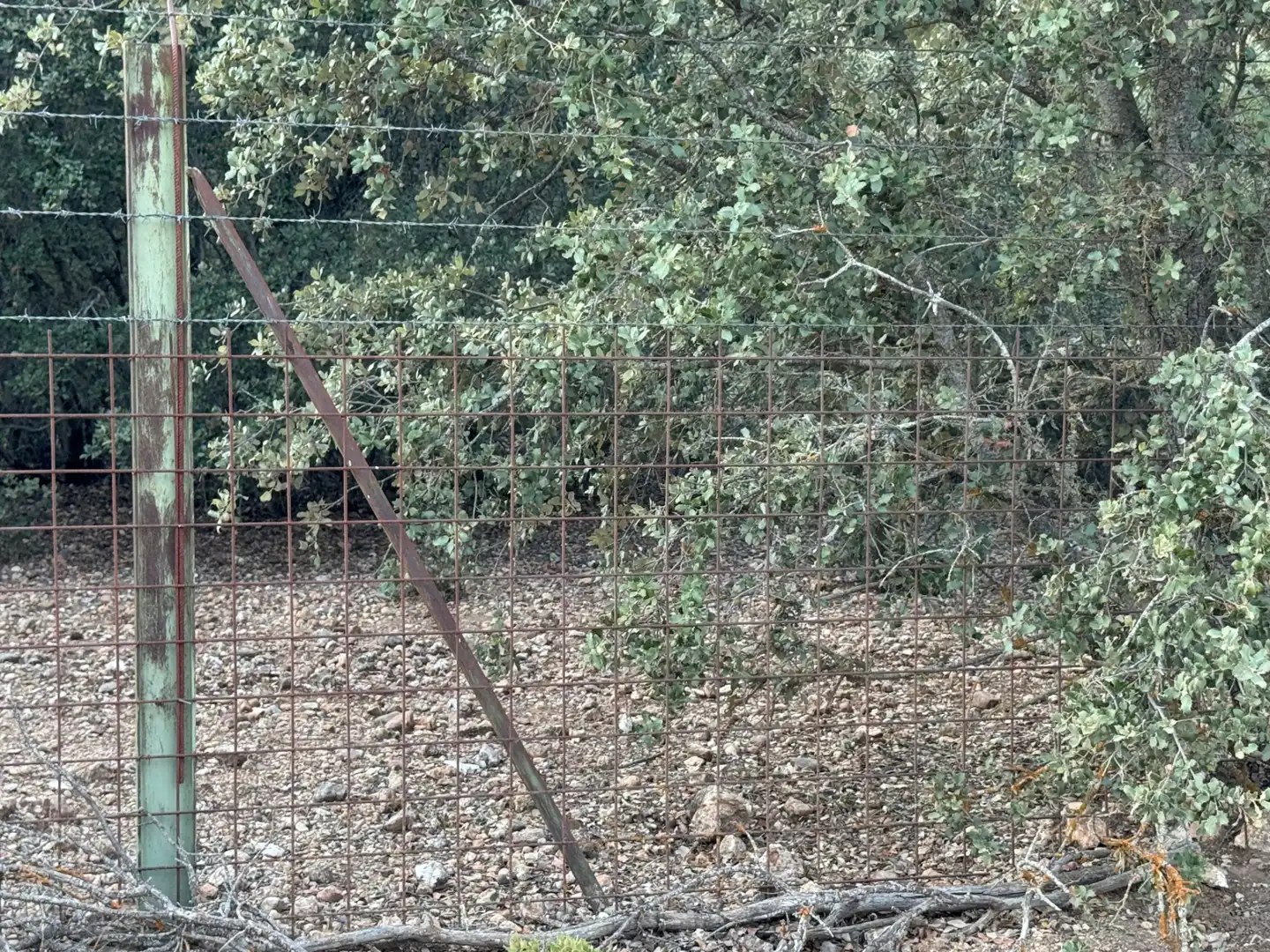 Terreno en venta en La Orbada 