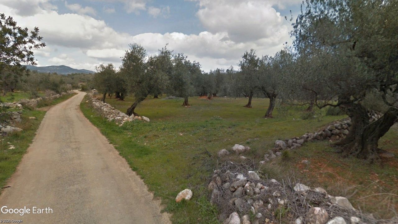 Land for sale in Rossell