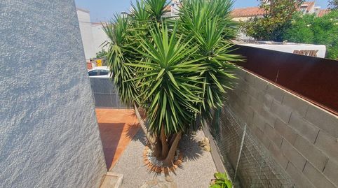 Foto 4 de Casa o chalet en venta en Almadrava - Canyelles - Puig-Rom, Roses
