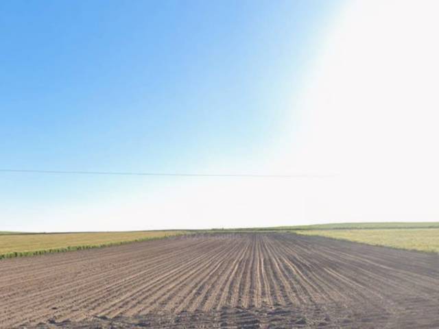 Terreno en Venta en SA-801, 100 en Aldeaseca de la Frontera