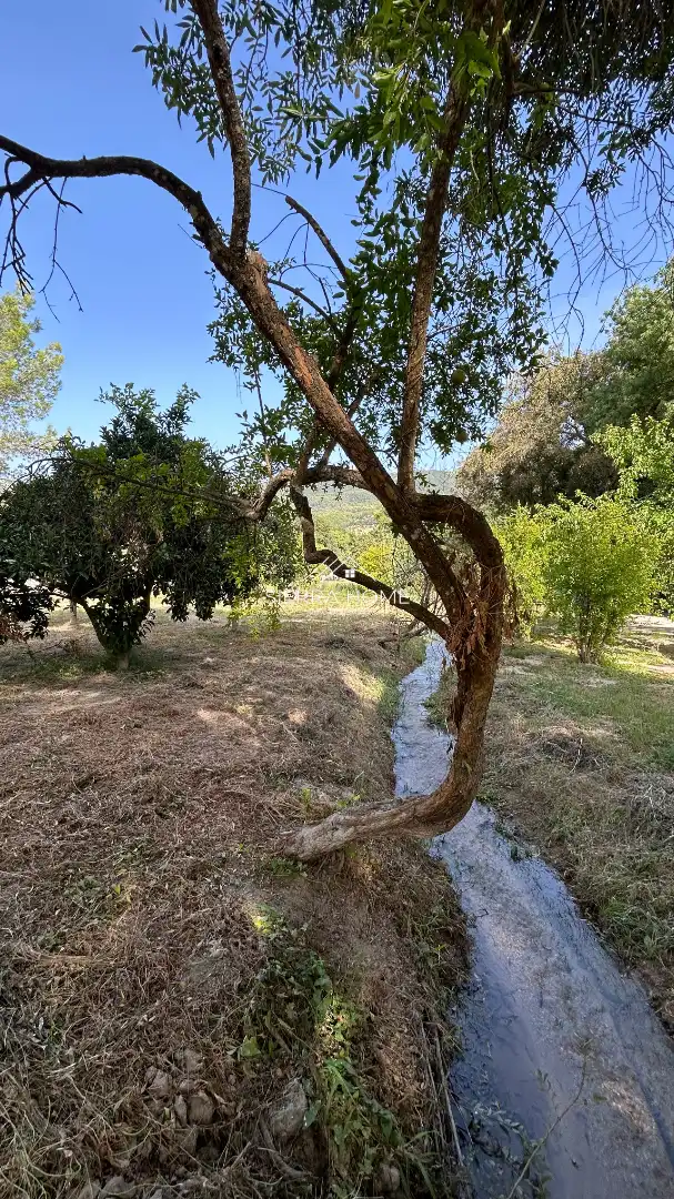 Terreno rustico in vendita a Plaza de la Constitución, imagen 8